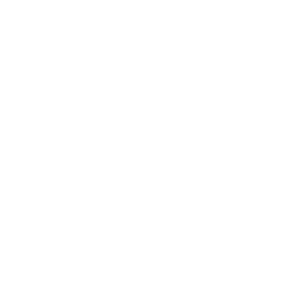 Digital Smiles logo